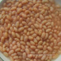 Cooking and Ready to Eat Delicious Canned White Kidney Bean